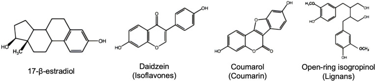 Beyond Hormone Replacement: Multifaceted Effects of Phytoestrogens for Optimizing Kinesiological and Physiological Adaptations in Postmenopausal Women.