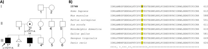 A novel missense variant at the site of interaction between RLIM and E2 ubiquitin-conjugating enzymes causes Tønne-Kalscheuer syndrome.