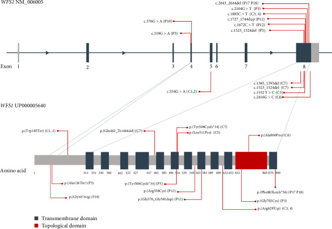Diabetes Insipidus as an Early Clinical Indicator of Wolfram Syndrome Type 1: Evidence From a Symptom-Based Screening Approach.