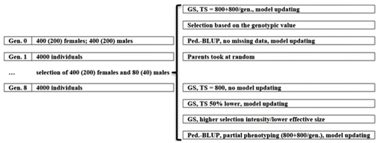 Efficiency of Recurrent Genomic Selection in Panmictic Populations.