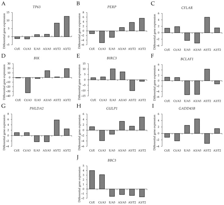 Genes Associated with Apoptosis in an Experimental Breast Cancer Model.
