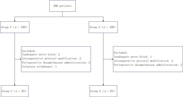 Effect of Intravenous Esketamine on Rebound Pain Following Single-Shot Brachial Plexus Block in Patients Undergoing Shoulder Arthroscopic Surgery: A Prospective, Randomized, Placebo-Controlled Study.
