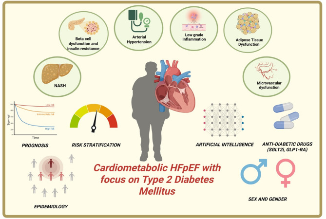 Cardiometabolic HFpEF with focus on type 2 diabetes mellitus.