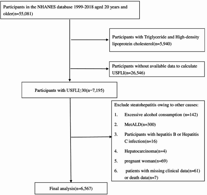 Association between atherogenic index of plasma (AIP) and all-cause and cardiovascular mortality in patients with metabolic dysfunction-associated steatotic liver disease (MASLD): a cohort study based on NHANES 1999-2018.