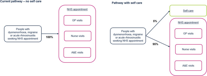 A health economics assessment of self-care with over-the-counter ibuprofen in dysmenorrhoea, migraine and acute rhinosinusitis in the United Kingdom.