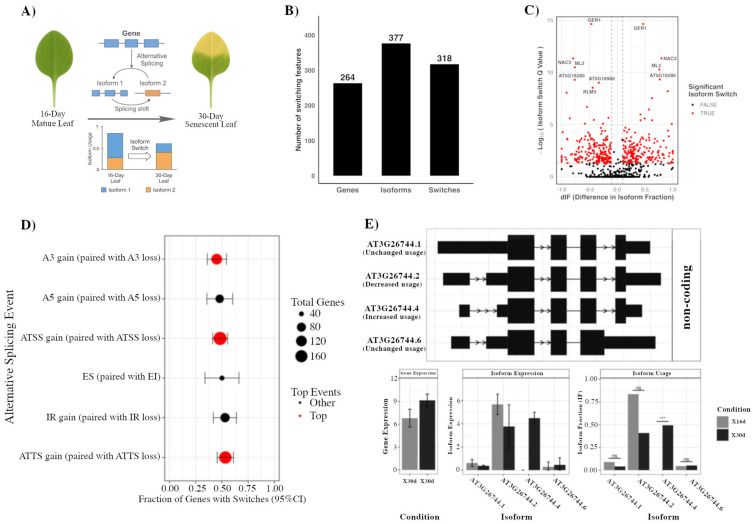 Genome-Wide Isoform Switching Reveals SR45-Mediated Splicing Control of <i>Arabidopsis</i> Leaf Senescence.