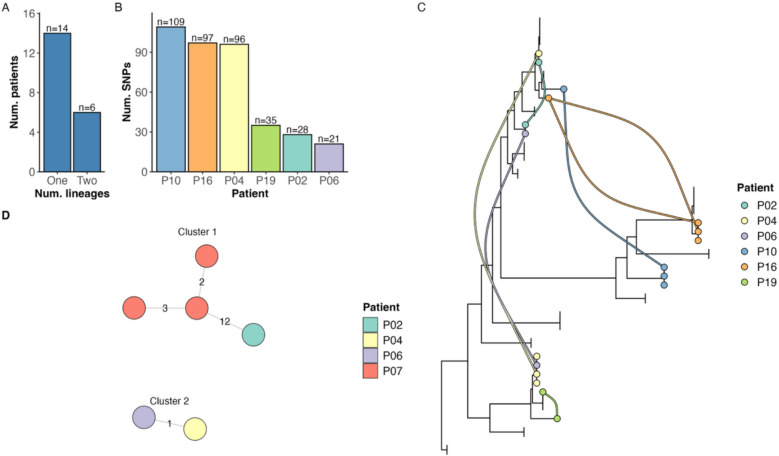 Genomic characterisation of recurrent Mycobacterium avium isolates from chronically infected patients reveals patterns of within-host evolution.
