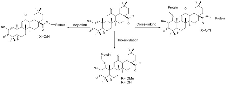 Synthesis and Biological Profile of Omaveloxolone: The Cornerstone for Friedreich Ataxia Treatment.