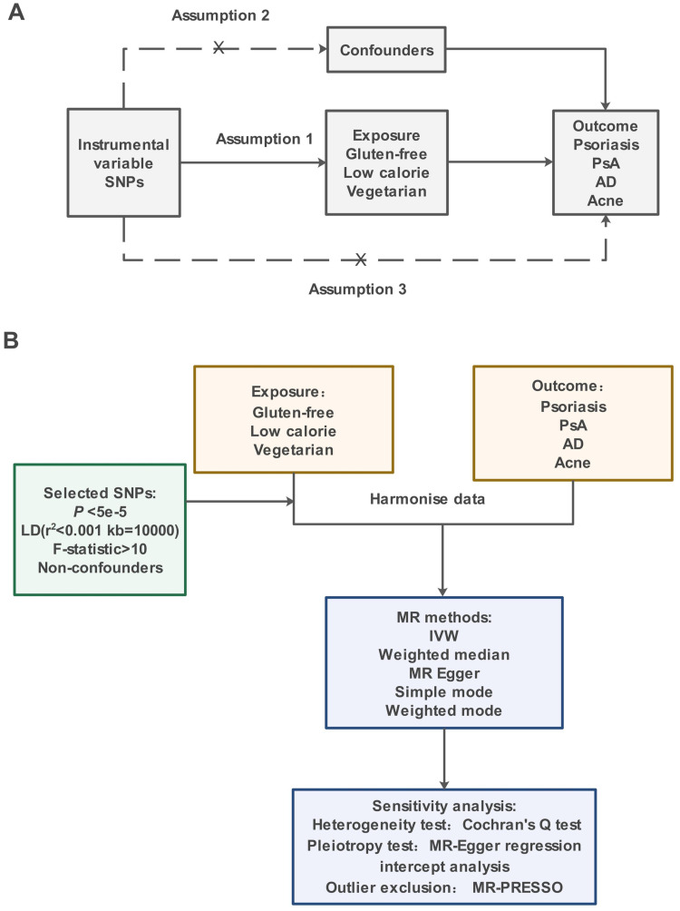 Causal Relationships Between Popular Diets (Low-Calorie, Vegetarian, and Gluten-Free Diets) and Inflammatory Skin Diseases: A Mendelian Randomization Study.