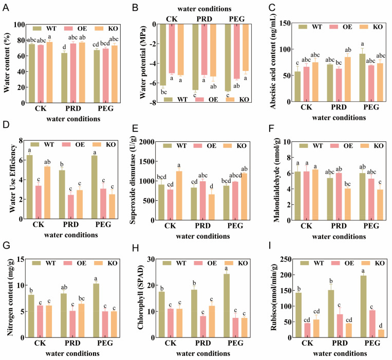 <i>OsPIP2;1</i> Positively Regulates Rice Tolerance to Water Stress Under Coupling of Partial Root-Zone Drying and Nitrogen Forms.