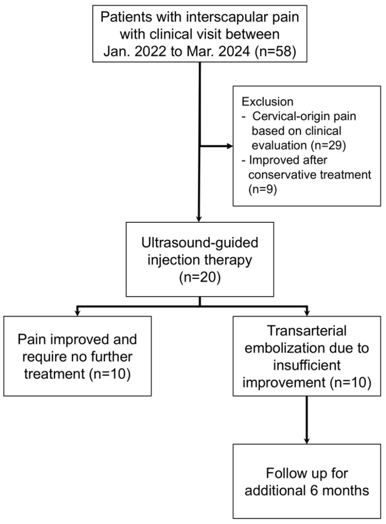 Transarterial Embolization for Refractory Non-Cervical-Origin Interscapular Pain Following Ultrasound-Guided Injection: A Retrospective Feasibility Study.