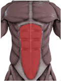 Mechanism design and human-machine coupling analysis for a lumbar rehabilitation robot.