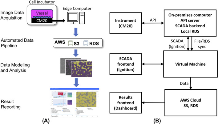 Advancing cell therapy manufacturing: an image-based solution for accurate confluency estimation.