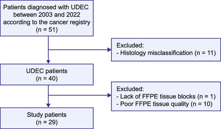Distinct genomic subgroups and mutational patterns in undifferentiated/dedifferentiated endometrial carcinoma.