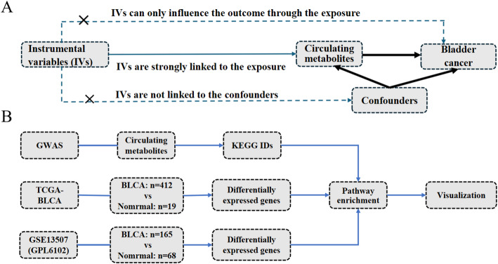 Circulating metabolites and bladder cancer: a Mendelian randomization and multi-omics study.