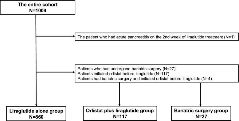 Comprehensive analysis of real-world data on liraglutide treatment in patients with obesity: a multicenter national study.