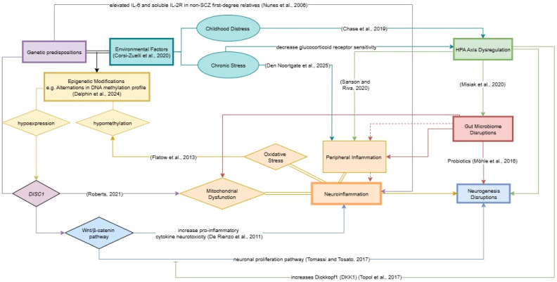 The Etiological Role of Impaired Neurogenesis in Schizophrenia: Interactions with Inflammatory, Microbiome and Hormonal Signaling.