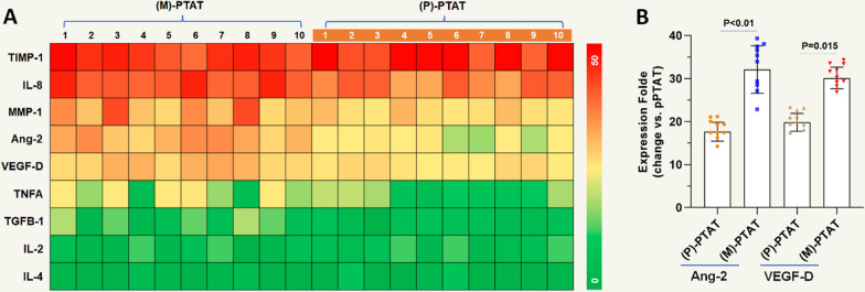 Ang-2 modulates VEGFR3-induced lymphangiogenesis in peritumoral adipose tissue of metastatic head and neck cancer.