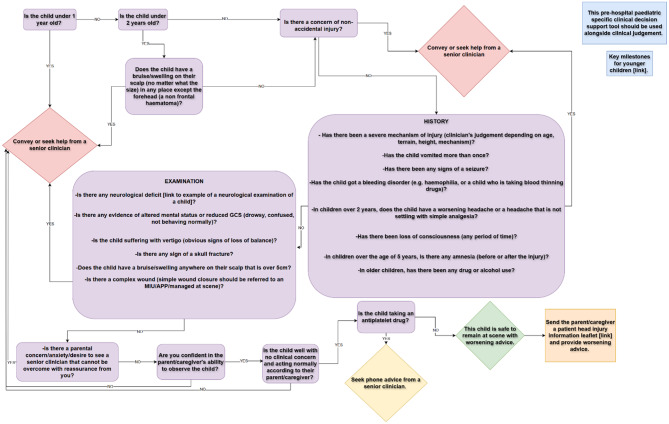 Developing a clinical decision tool to support paramedics when assessing and managing children with minor head injury.