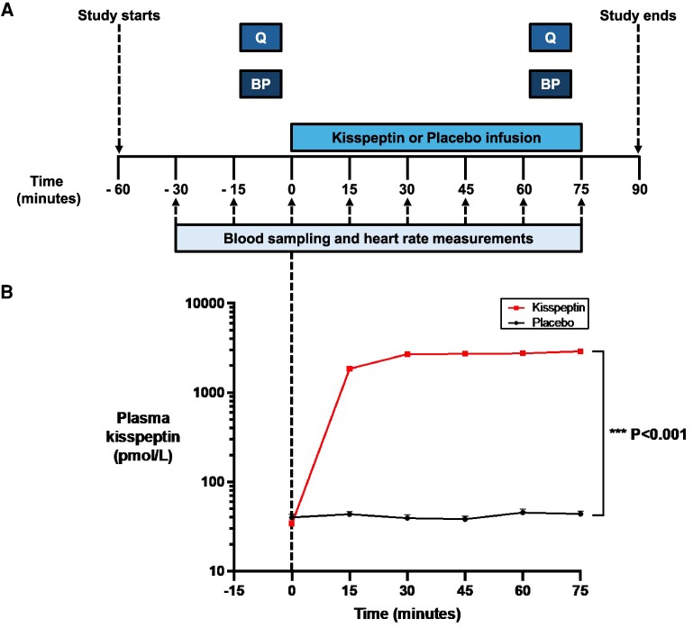 Kisspeptin Administration Stimulates Reproductive Hormones but Does Not Affect Anxiety in Humans.