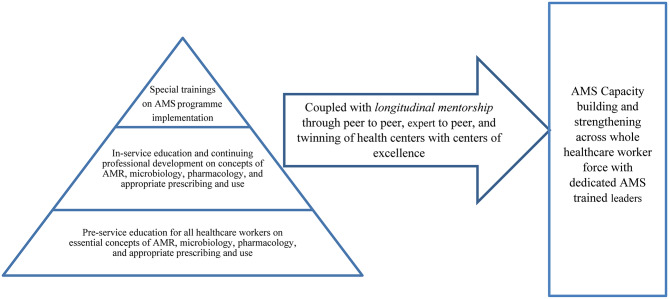 Barriers, facilitators, and opportunities for hospital antimicrobial stewardship in low and lower middle - income countries in the Eastern Mediterranean region: results from a mixed methods study.
