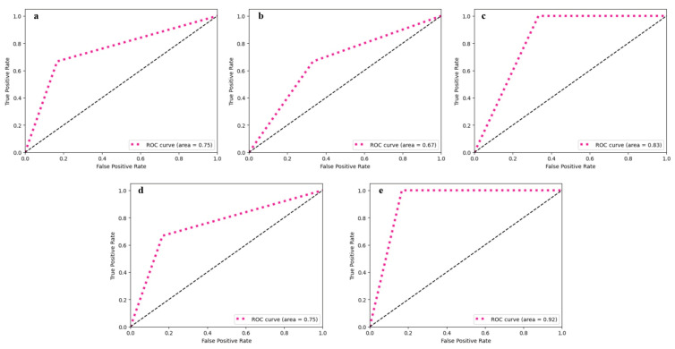 SarcoNet: A Pilot Study on Integrating Clinical and Kinematic Features for Sarcopenia Classification.