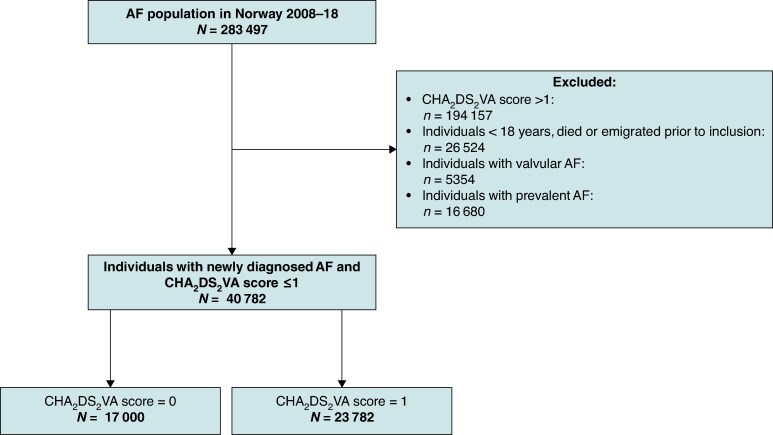Timing of stroke risk reassessment in atrial fibrillation patients with a CHA2DS2-VA score of 0 or 1: the Norwegian AFNOR study.