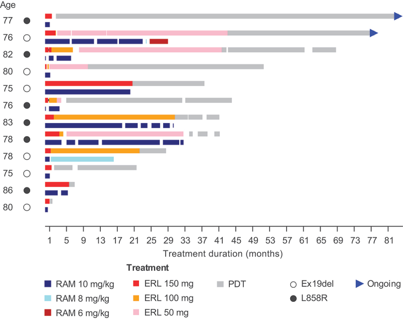 RELAY: safety and efficacy of ramucirumab plus erlotinib in elderly Japanese patients with metastatic <i>EGFR</i>-mutated NSCLC.