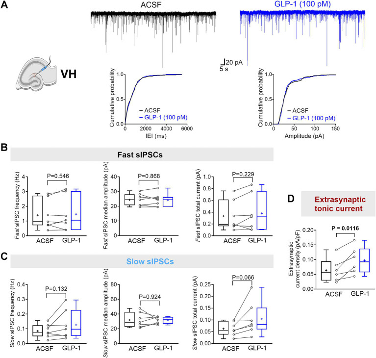 GLP-1 selectively enhances tonic GABA<sub>A</sub> receptor-mediated currents in mouse dentate gyrus granule cells of the ventral hippocampus.