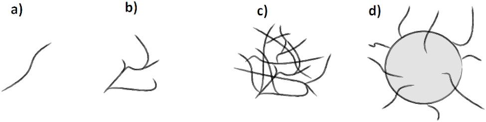 Effects of bioreactor inoculation method on secondary metabolite production and morphological characteristics of Streptomyces rimosus in microparticle-enhanced cultivation (MPEC).