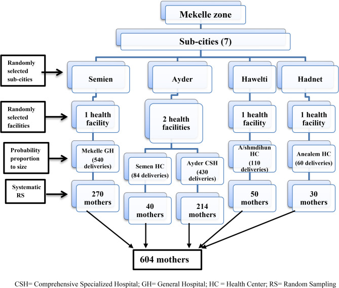 Acceptability and factors associated with minimum postpartum stay in public health facilities among mothers in Mekelle: a mixed-methods study.