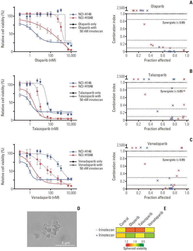 The Synergistic Effect of PARP Inhibitors and Irinotecan in Small Cell Lung Cancer Cells.