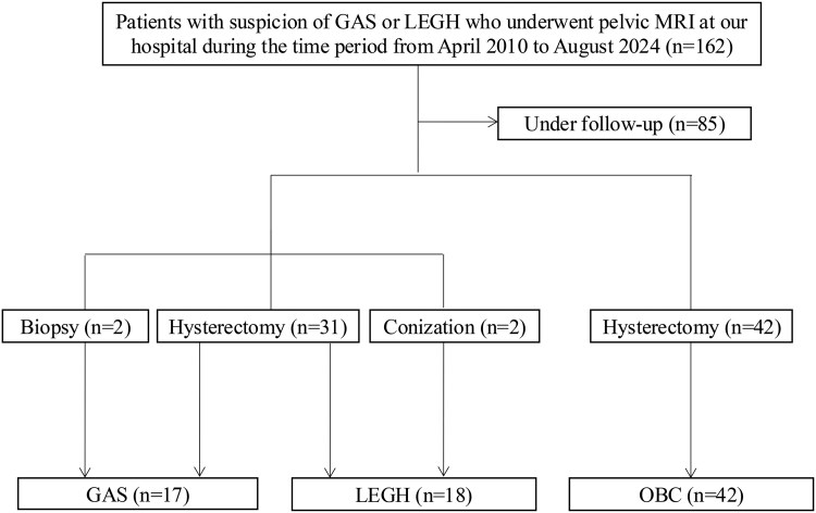 MRI localization evaluation to distinguish gastric-type adenocarcinoma and lobular endocervical glandular hyperplasia from other cystic lesions.