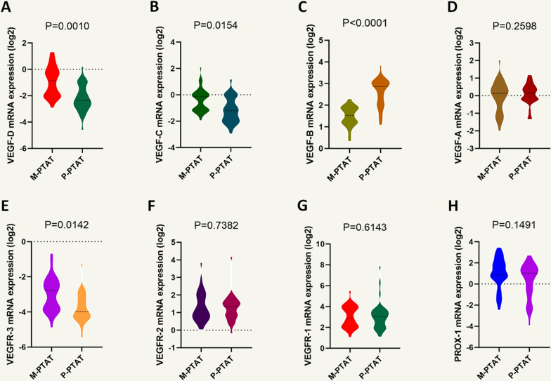 Ang-2 modulates VEGFR3-induced lymphangiogenesis in peritumoral adipose tissue of metastatic head and neck cancer.
