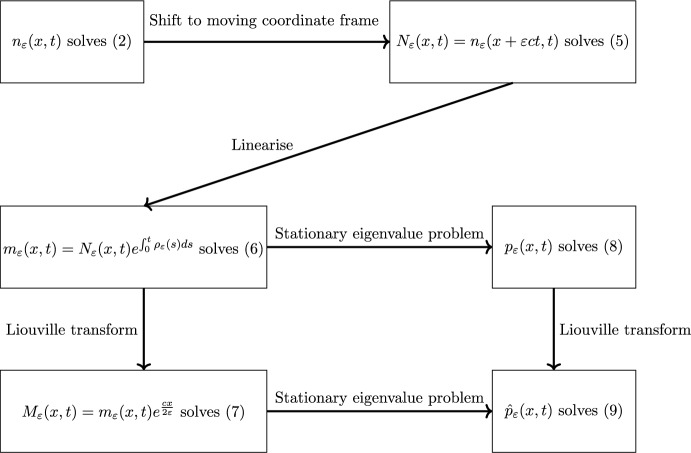 Adaptive dynamics of diverging fitness optima.