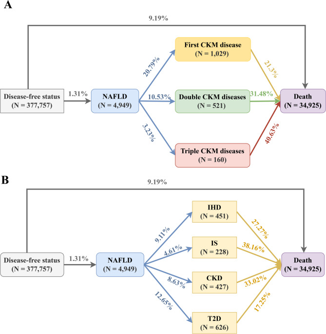 The role of insulin resistance in the longitudinal progression from NAFLD to cardiovascular-kidney-metabolic disease.