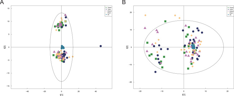 Clinical Efficacy and Plasma Metabolomics Analysis of Acupuncture for Migraine Treatment.