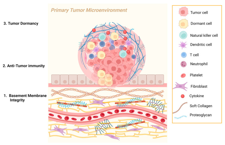 The Duality of Collagens in Metastases of Solid Tumors.