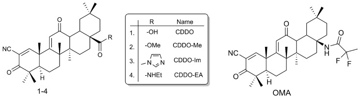 Synthesis and Biological Profile of Omaveloxolone: The Cornerstone for Friedreich Ataxia Treatment.