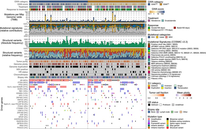 Cell-free DNA aneuploidy score as a dynamic early response marker in prostate cancer.