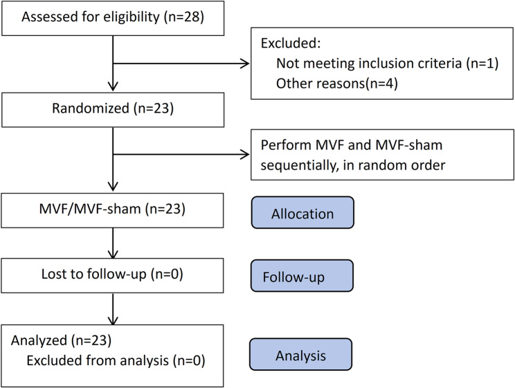 Effect of lower limb mirror visual feedback on cortical activation in healthy subjects: a self-controlled randomized trail.