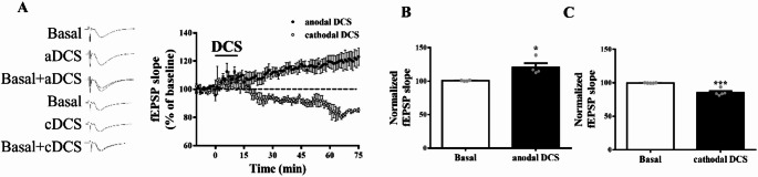 Regulation of Ischemic Long-Term Potentiation in GluN2B and FKBP51 Underlying Cathodal Direct Current Stimulation