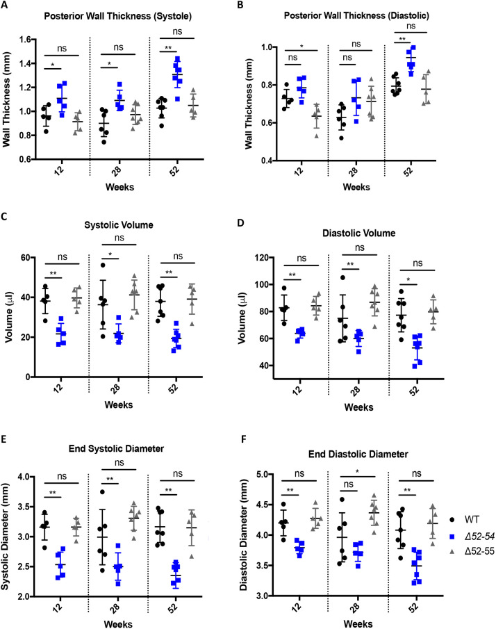 Generation and characterization of a mouse model of Becker muscular dystrophy with a deletion of Dmd exons 52 to 55.