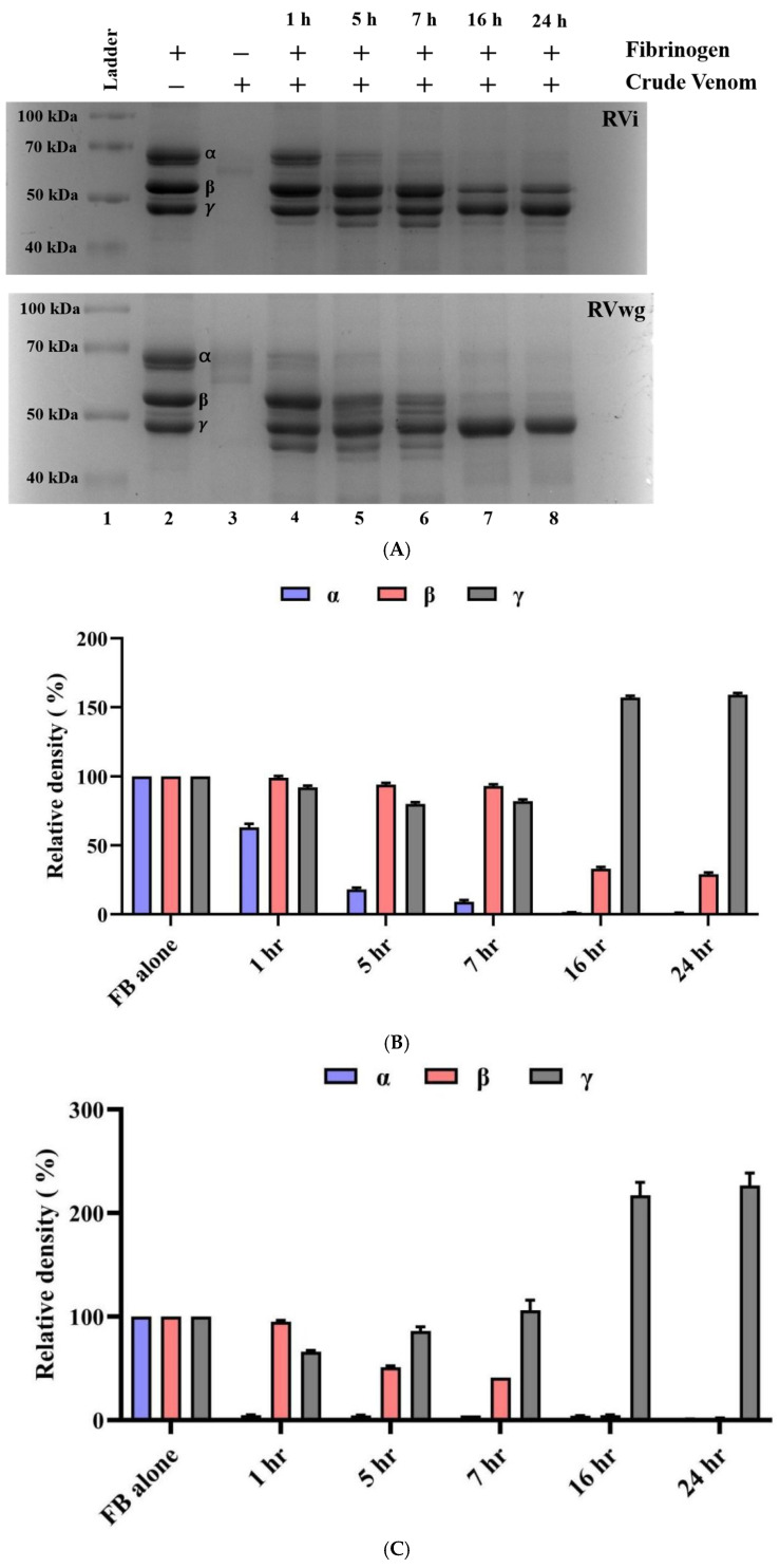 Comparative Proteomics, Functional Characterization and Immunological Cross-Reactivity Studies on Russell's Viper Venom from Two Distinct Geographical Regions in South India.