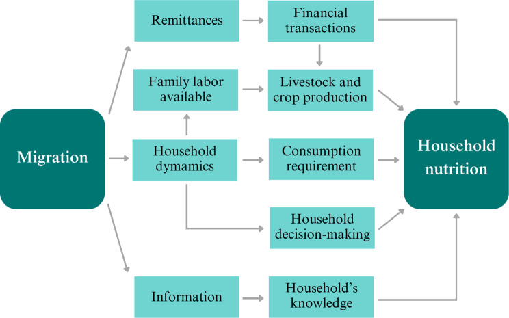 Migration dynamics and nutritional outcomes in a lower middle-income country: evidence from Vietnam.
