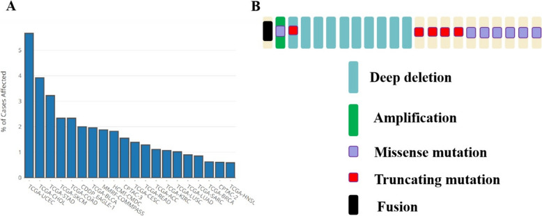 The role of SPRED1 mutation in melanoma.