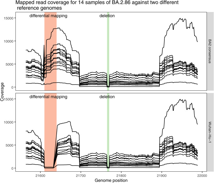 SARS-CoV-2 sequencing artifacts associated with targeted PCR enrichment and read mapping.