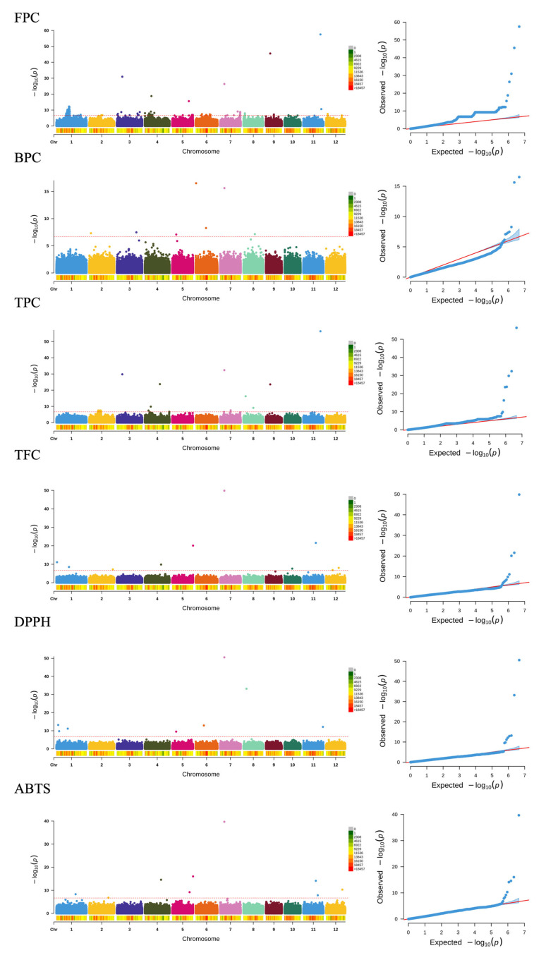 Genotypic Variation and Genetic Control of Phenolic Compounds and Antioxidant Activity in Shanlan Upland Rice Landrace.