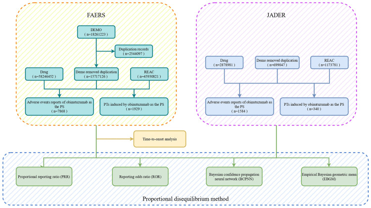 Safety assessment of obinutuzumab: Real-world adverse event analysis based on the FAERS and JADER databases from 2013 to 2025.