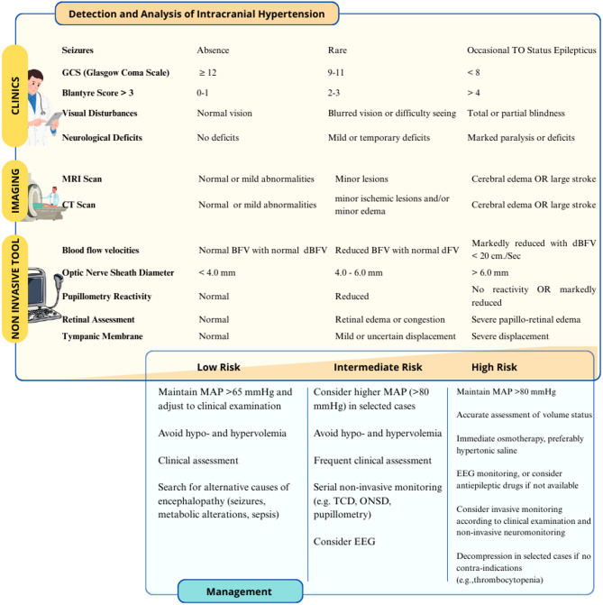 Management and monitoring strategies for severe cerebral malaria: a guide for the intensivist.